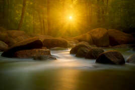 Le murmure du ruisseau