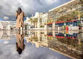 Miroir matinal