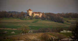 Château du Pin