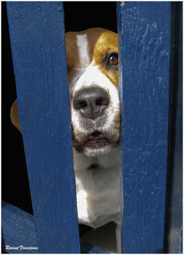 C'est quand déconfinement ?