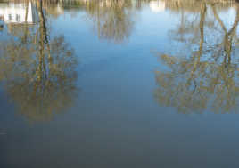 Miroir, mon beau miroir...