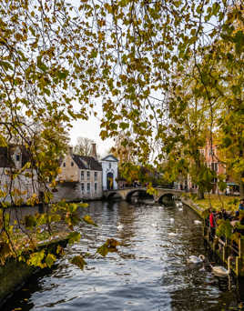 Bruges 3