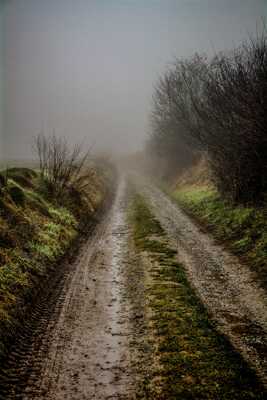 Campagne dans la brume