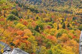 L'automne depuis le haut de la montagne