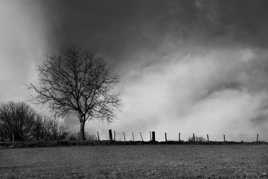 En attendant le printemps