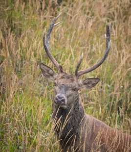 Les yeux dans les yeux