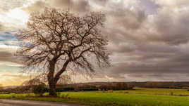 Fin de Journée sur la plaine