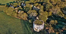 Ruines sylvestres