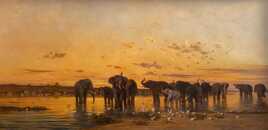 Éléphants d’Afrique