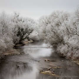 Moselle hivernale