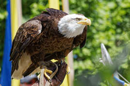 Un regard sur le monde