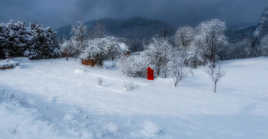 Petite cabane dans une vallée du Jura