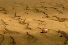 Seul sur la plage