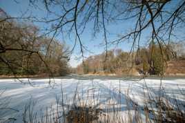 entre les branches !