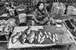 Il est pas frais mon poisson ???