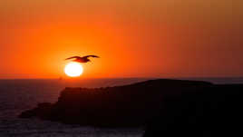 Recadrée suivant un commentaire...judicieux