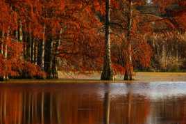 Couleurs d automne