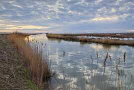 Le canal de Lansargues