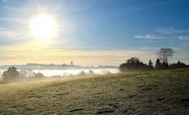 Un matin dans un champ.