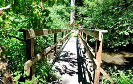 Le petit pont de bois