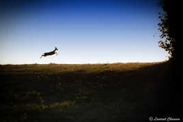 Instant de détente !!!