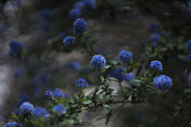 couleurs printanières