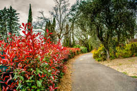 Un parcours tout en couleurs