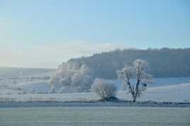 Paysage autoroutier