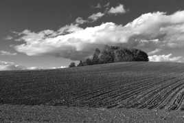Au Nord, une éclaircie ...