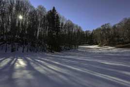 ombres sur la neige