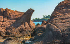 La Nature Créatrice