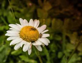 1 ,2 ,3 , mar gue ritte !!!