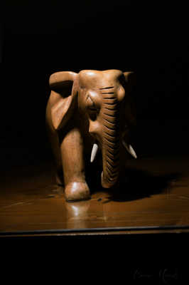 Il faut pas se tromper