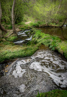 Tourbillon a la Brague.