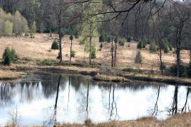 Paysage d'ardenne belge