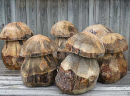 Les champignons en bois