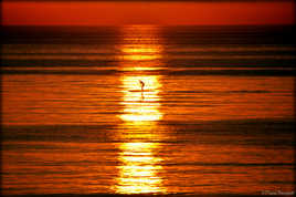 Stand up Paddle dans la lumière du soleil levant