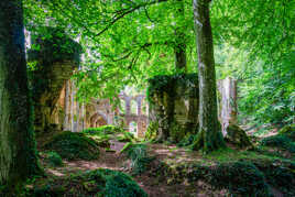 L'abbaye cistercienne