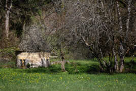 Le printemps s'installe en Dordogne
