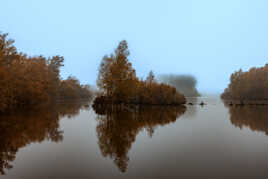 Brume sur la marais de Fretin