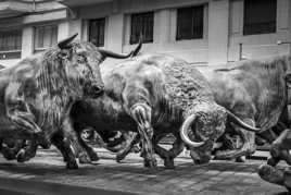 Los toros de Pamplona