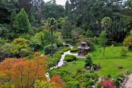 Jardin japonais