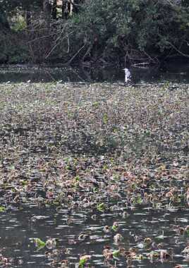 biodiversité