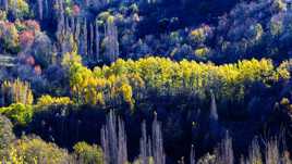 Couleurs d'automne en Aragon