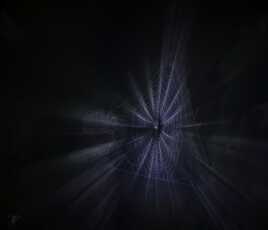 Délire sur la toile