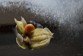 Fruit sur miroir