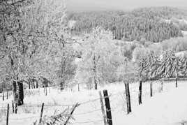 Ma campagne frissonne