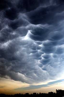 Mammatus