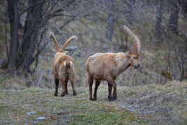 Le calme avant la tempête!