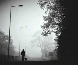 Brouillard d'automne.
